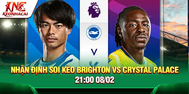 Nhận Định Soi Kèo Brighton Vs Crystal Palace 21:00 08/02