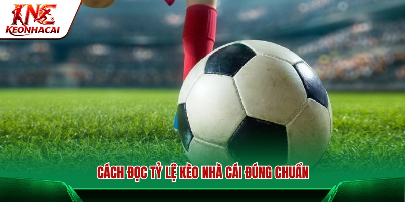 Hướng dẫn cách đọc tỷ lệ kèo chuẩn 