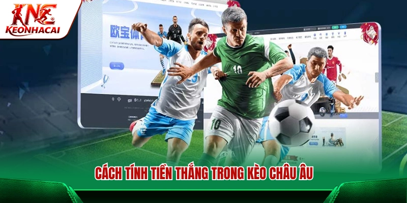 Phương pháp tính tiền cược thắng 
